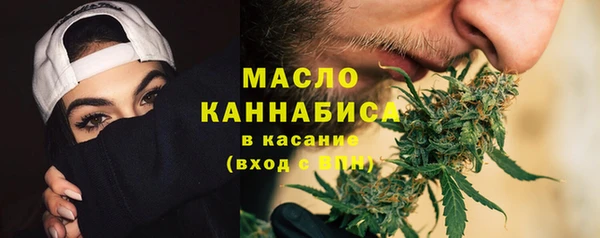 молекула духа Новозыбков