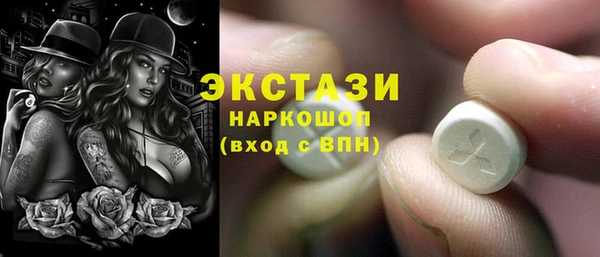 молекула духа Новозыбков