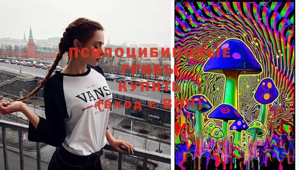 молекула духа Новозыбков