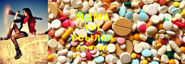 молекула духа Новозыбков