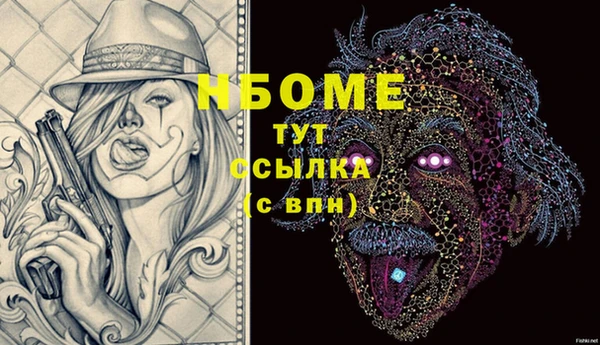 молекула духа Новозыбков
