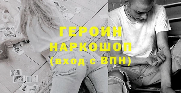 молекула духа Новозыбков