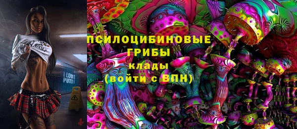 винт Бронницы