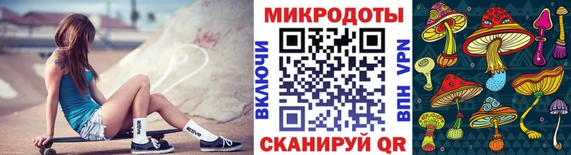 Псилоцибиновые грибы Psilocybe  сколько стоит  Петровск 