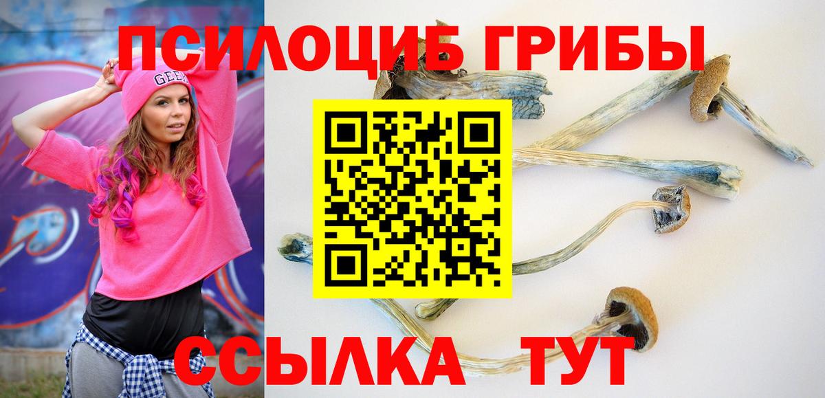 Псилоцибиновые грибы мухоморы  Петровск 