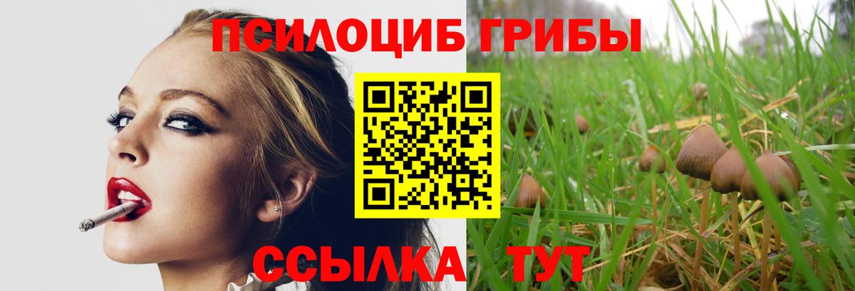 Псилоцибиновые грибы ЛСД  Псилоцибиновые грибы Psilocybe  Вход с VPN  Петровск 