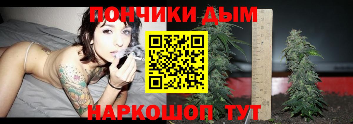 Бошки Шишки сатива Петровск